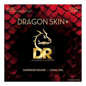 DR DRAGON SKIN{ Stainless for Bass DBS6-30 30-125 ɔR[fBO 6GLx[X