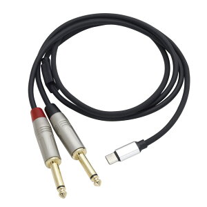 Tech UTC-211-3FT USB-C to 1/4hmWtH IX x2 DACP[u