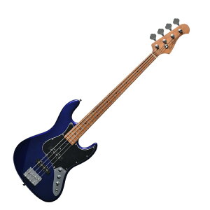 BACCHUS �o�b�J�X WJB-1DX RSM/M IPM �G���L�x�[�X