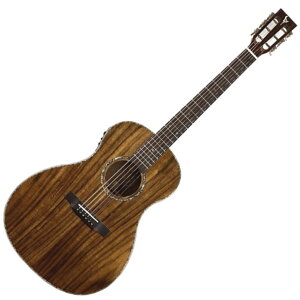 DCT FR-205KE GNgbNAR[XeBbNM^[