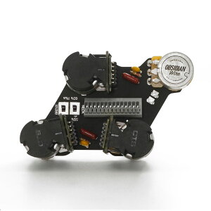 ObsidianWire IuVfBAC[ The Ultimate' Wiring for Les Paul // JP Mod GLM^[p[c X|[p