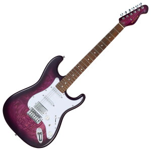 Mooer [A[ MSC20 Pro Prune Purple p[v GLM^[