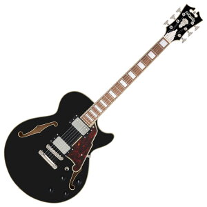 D'Angelico fBAWFR Premier SS Black GLM^[ Z~AR
