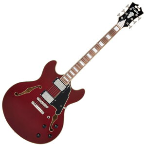 D'Angelico fBAWFR Premier DC Burnt Red GLM^[ Z~AR