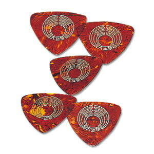 XYL SUZUKI 吳TSP-5 吳ՃsbNZbg