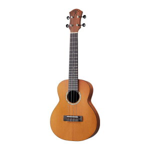aNueNue aNN-C4 Solid Cedar Top RT[gEN V_[Pgbv Acacia(Taiwan Koa)obNTCh