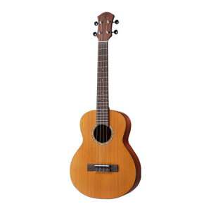 aNueNue aNN-T4 Solid Cedar Top ei[EN V_[Pgbv Acacia(Taiwan Koa)obNTCh
