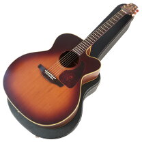 楽天市場】takamine ハードケースの通販