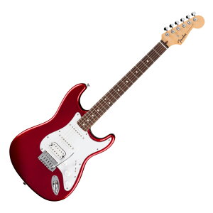 Fender tF_[ Standard Stratocaster HSS LRL WPG CND GLM^[ XggLX^[