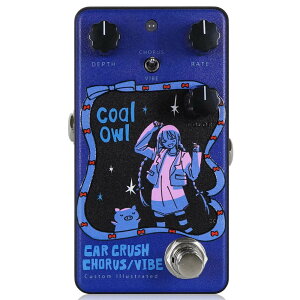 Animals Pedal Aj}Yy_ Custom Illustrated CCV coalowl #01 R[X g M^[GtFN^[