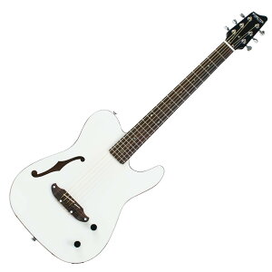 SCHECTER OL-FL-P WHT GNgbNAR[XeBbNM^[