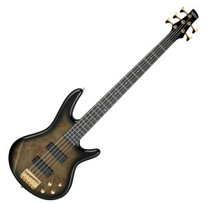 IBANEZ ACoj[Y GSR205PC-TPB Gio Transparent Pale Black Burst 5GLx[X