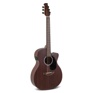 OVATION Ix[V Applause AEO96-M E-Acoustic Guitar Wood Classics GNgbNAR[XeBbNM^[