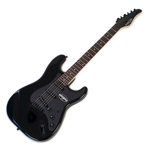 SCHECTER VFN^[ OL-ST-22 AB/R GLM^[
