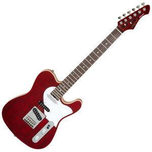 AriaProII 615-AE200 SR GLM^[