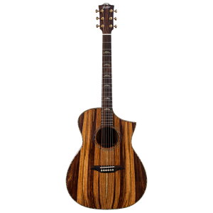 Bromo Guitars �u�����M�^�[�Y BAR4GCE �G���N�g���b�N�A�R�[�X�e�B�b�N�M�^�[