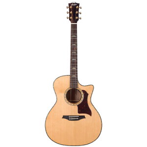 Bromo Guitars �u�����M�^�[�Y BAN2CE �G���N�g���b�N�A�R�[�X�e�B�b�N�M�^�[