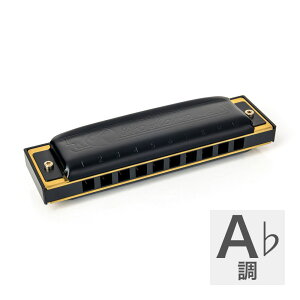 HOHNER �z�[�i�[ Pro Harp 562/20P A�� 10�z�[���n�[���j�J �u���[�X�n�[�v