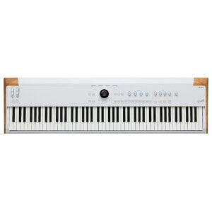 ARTURIA A[gA AstroLab 88 AXg{ Xe[WL[{[h VZTCU[ 88