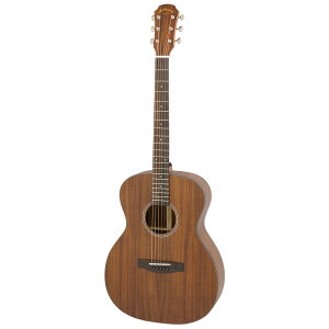ARIA AA AF-107KA MTN AR[XeBbNM^[