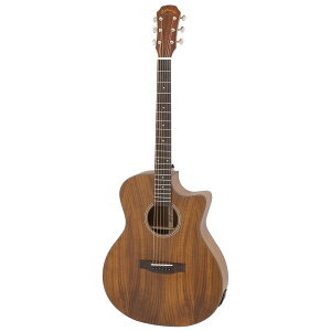 ARIA AA AF-107KACE MTN GNgbNAR[XeBbNM^[