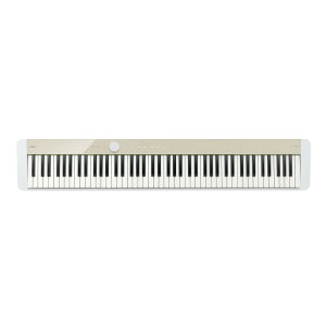 CASIO Privia PX-S1100MB dqsAm
