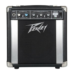 PEAVEY s[B[ Decade Too Guitar Amp Combo M^[Av R{