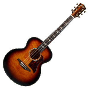 Bromo Guitars ブロモギターズ BAN8E vs エレクトリックアコースティックギター