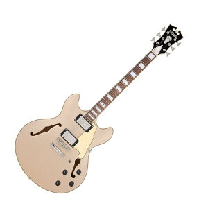 D'Angelico fBAWFR Premier DC XT Satin Desert Gold GLM^[ Z~AR