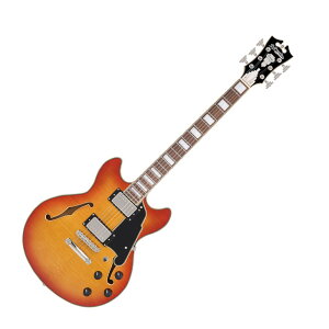 D'Angelico fBAWFR Premier Mini DC XT Honey Burst GLM^[ Z~AR