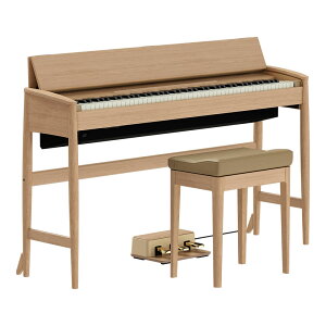 ygݒuT[rXz ROLAND KF-20-KO dqsAm sAm֎qt sAI[N KIYOLAV[Y JNƋLrlbg