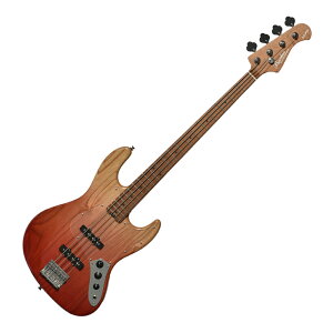 BACCHUS �o�b�J�X Global Series WL4-ASH/RSM RED-GRD �G���L�x�[�X
