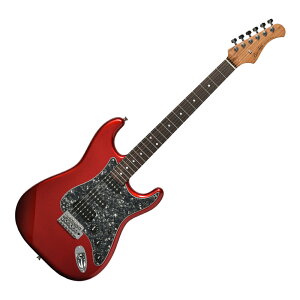 BACCHUS �o�b�J�X Universe Series BST-2-RSM/R-BPPG CAR �G���L�M�^�[