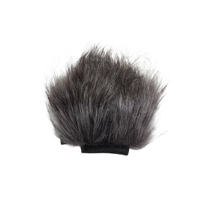 ZOOM �Y�[�� WSH-1e H1essential�p �փA���[�E�B���h�X�N���[��