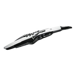 �y�󂠂�z Roland AE-20 Aerophone �E�B���h�V���Z�T�C�U�[