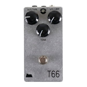 mt�fLab MODEL T66 �t�@�Y �M�^�[�G�t�F�N�^�[