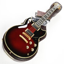 楽天市場】yamaha sg ハードケースの通販