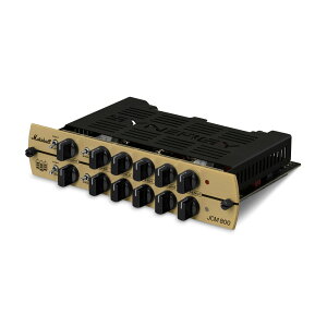 SYNERGY AMPS �V�i�W�[�A���v MARSHALL JCM 800 �v���A���v���W���[��
