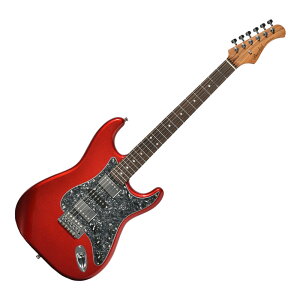 BACCHUS �o�b�J�X Universe Series BST-4-RSM/R-BPPG CAR �G���L�M�^�[