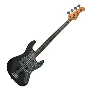 BACCHUS �o�b�J�X Universe Series WPJ-520 RSM/R-BPPG Gun-M �G���L�x�[�X