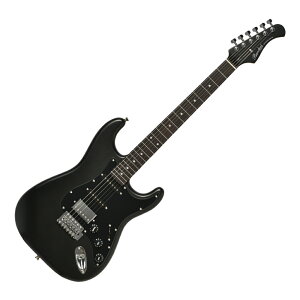 BACCHUS �o�b�J�X Universe Series BST-2-RSM/R GM GM-BLK-MH �G���L�M�^�[