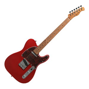 BACCHUS �o�b�J�X Universe Series BTE-1-RSM/M-TTPG CAR �G���L�M�^�[