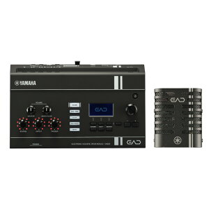 YAMAHA ���}�n EAD20 �G���N�g���j�b�N�A�R�[�X�e�B�b�N�h�������W���[��