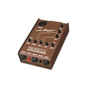 LR.BAGGSParaAcousticD.I.