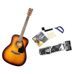}n YAMAHA F-310P TBS Zbgt AR[XeBbNM^[