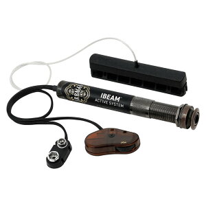 L.R.BAGGS iBeam Active ���K�A���i �A�R�[�X�e�B�b�N�M�^�[�p�s�b�N�A�b�v �A�N�e�B�u�^�C�v