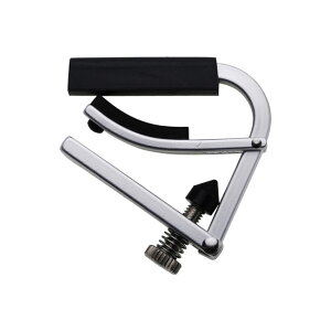 SHUBB L5 �o���W���[�p�J�|�^�X�g