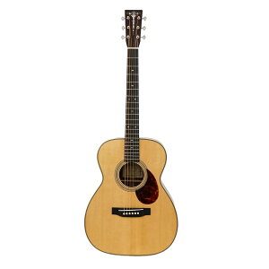 ASTURIAS EC PREWAR アコースティックギター セミハードケース付き