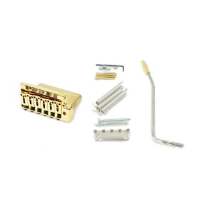ESP FLICKER-III Gold �M�^�[�p�g���������j�b�g
