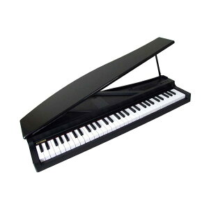 RO KORG microPIANO BK RpNgsAm ubN